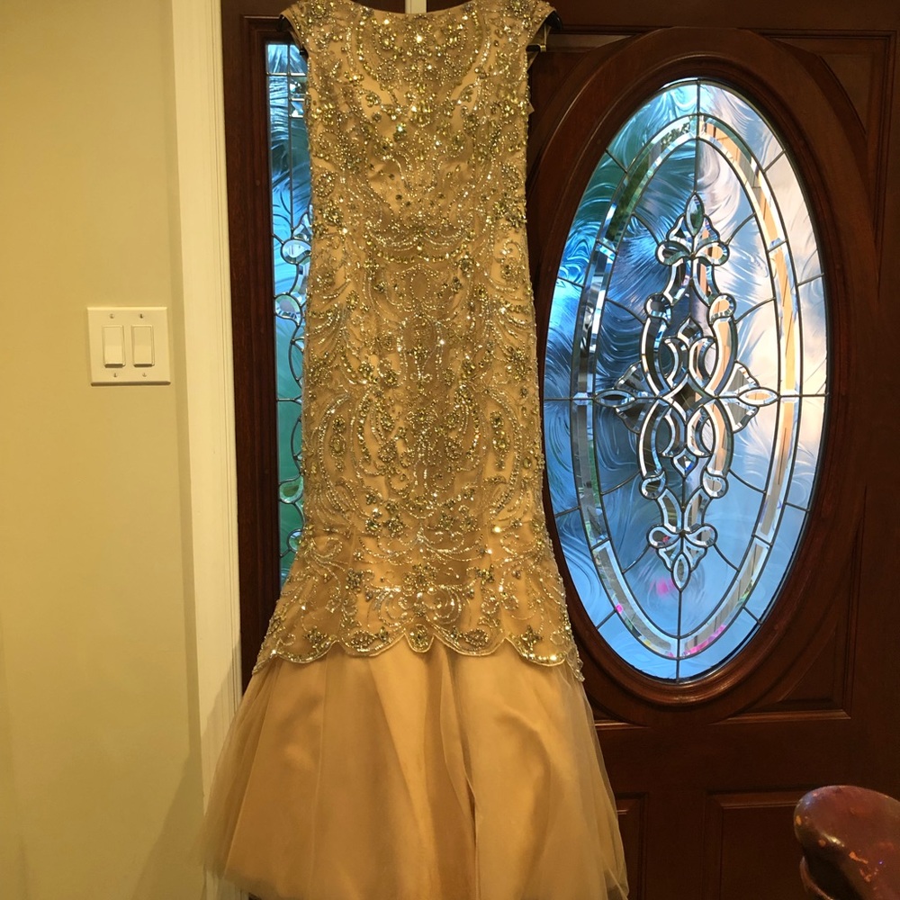 Mother of the bride gown